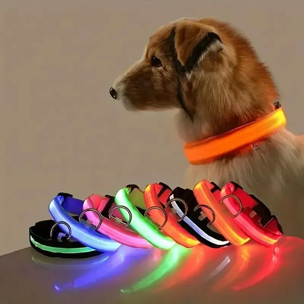 LED Night Safety Flashing Glow In The Dark Dog Leash