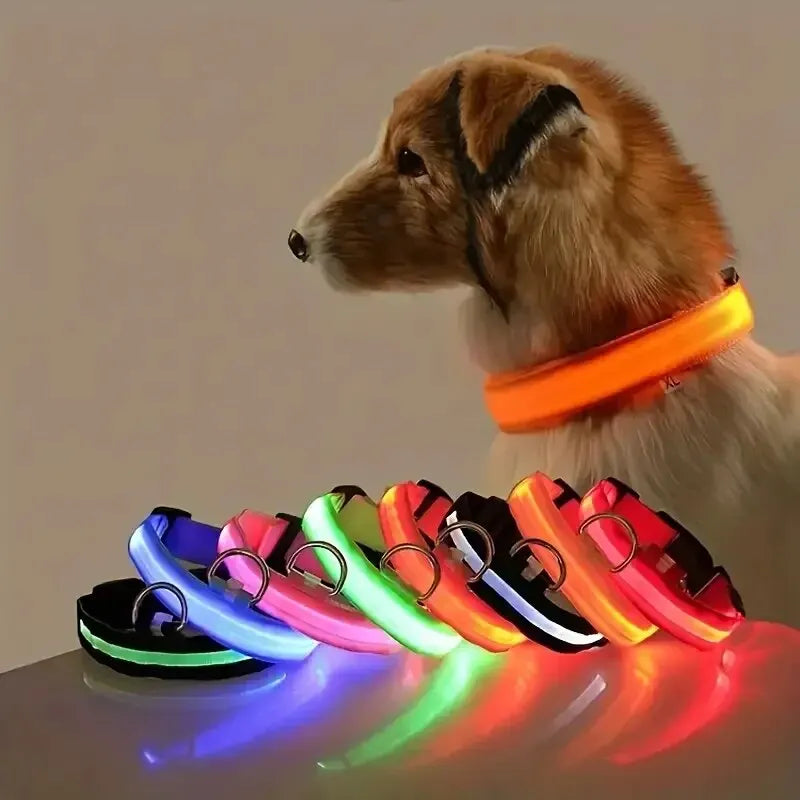 LED Night Safety Flashing Glow In The Dark Dog Leash