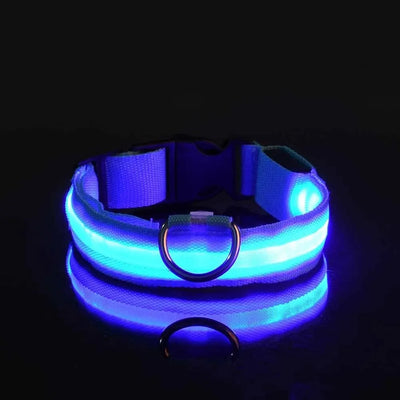 LED Night Safety Flashing Glow In The Dark Dog Leash
