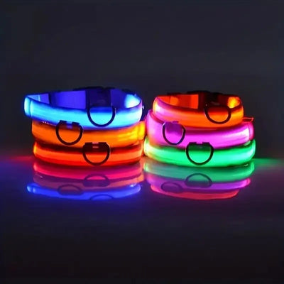 LED Night Safety Flashing Glow In The Dark Dog Leash