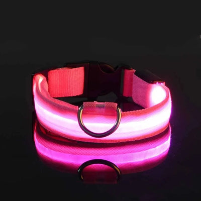 LED Night Safety Flashing Glow In The Dark Dog Leash