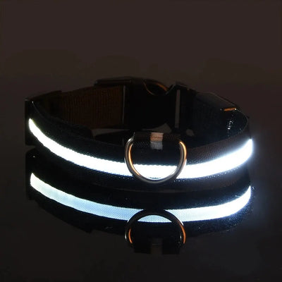 LED Night Safety Flashing Glow In The Dark Dog Leash