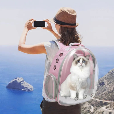 Expandable Cat Backpack