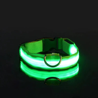 LED Night Safety Flashing Glow In The Dark Dog Leash