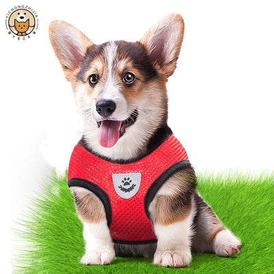 Dog Vest Walking Leash