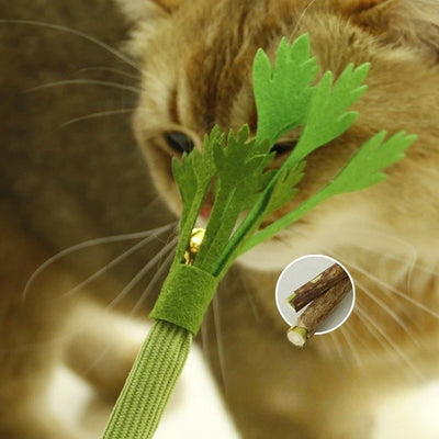 Cat Chew Toys Interactive Self High Catnip
