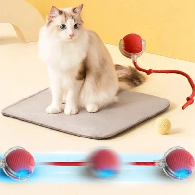Rechargeable Automatic Rolling Ball Cat Toy