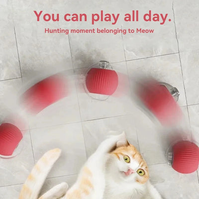 Rechargeable Automatic Rolling Ball Cat Toy