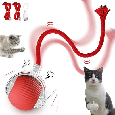 Rechargeable Automatic Rolling Ball Cat Toy