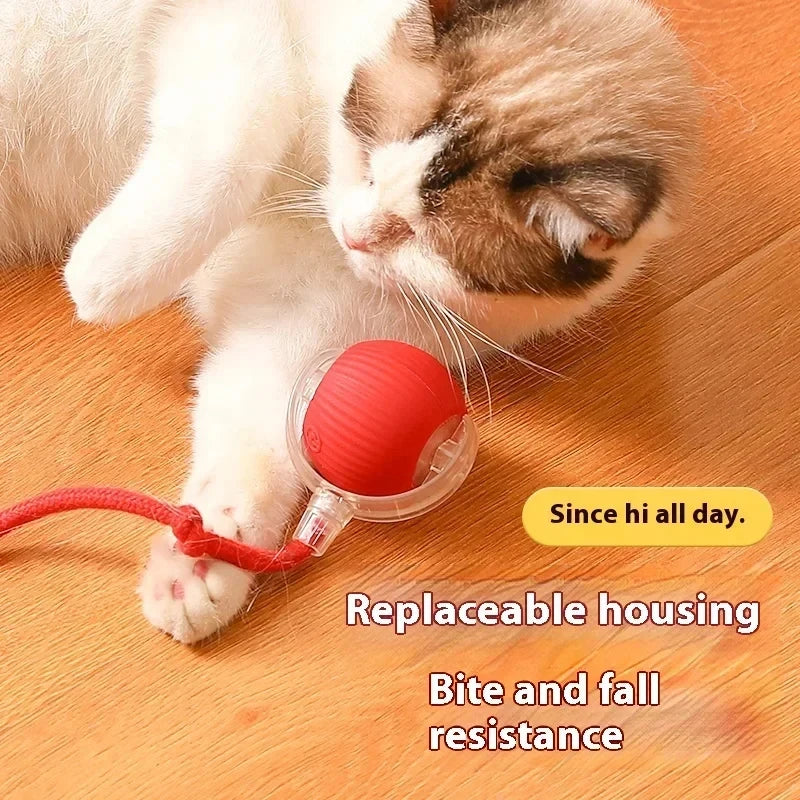 Rechargeable Automatic Rolling Ball Cat Toy