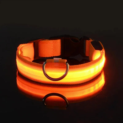 LED Night Safety Flashing Glow In The Dark Dog Leash