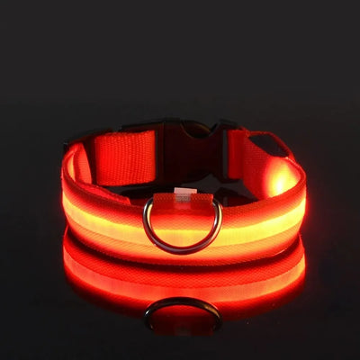 LED Night Safety Flashing Glow In The Dark Dog Leash