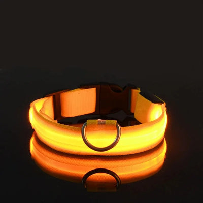 LED Night Safety Flashing Glow In The Dark Dog Leash